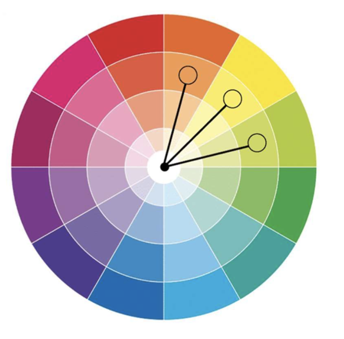 Un schéma de couleurs analogues sur un cercle chromatique