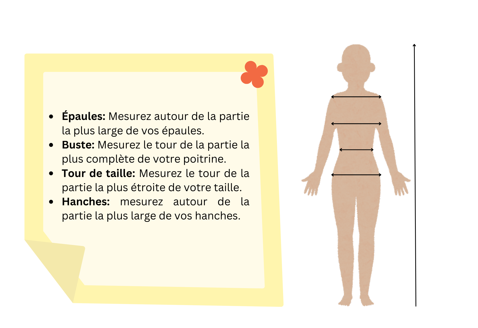 Guide pour mesurer ses épaules, sa poitrine, sa taille et ses hanches
