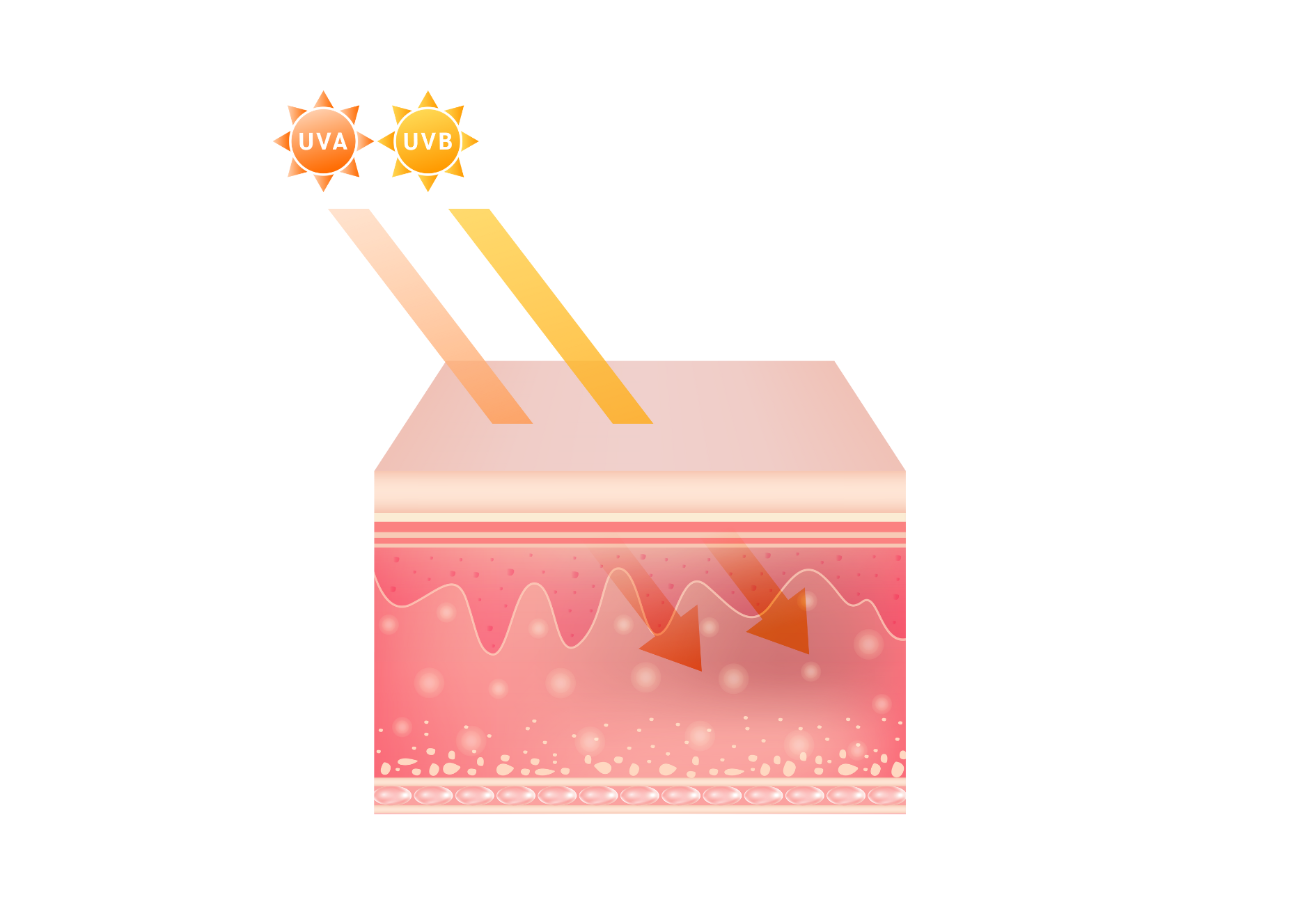 Rayons UV absorbés par la crème solaire chimique